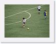 photos foot corse 2010 128 * 3264 x 2448 * (1.83MB)